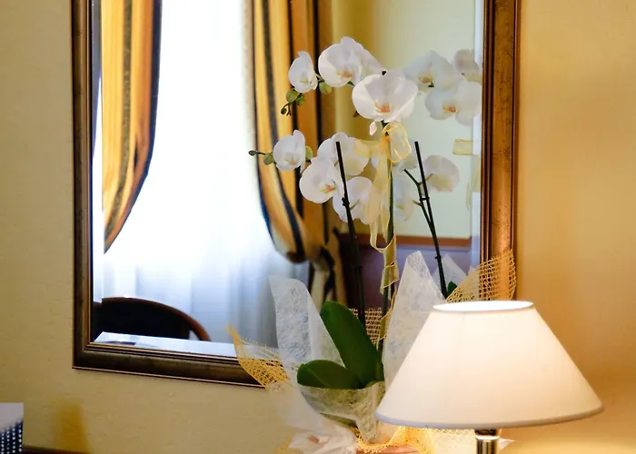 노보 로시 베로나