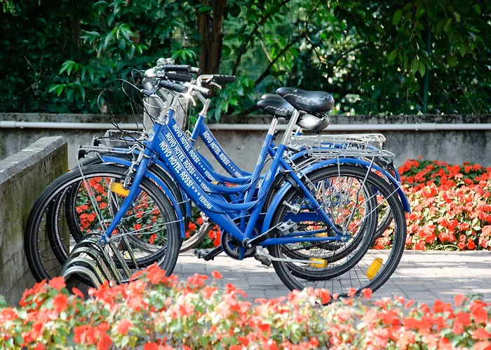 호텔 노보 로시