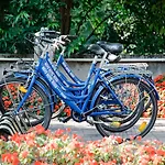 Отель Novo Rossi